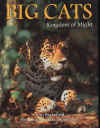 bigcats1.jpg (71280 bytes)