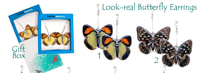 Butterfly Earrings