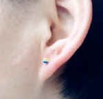 ear2.JPG (15629 bytes)
