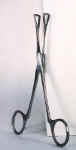 forcep21.jpg (10365 bytes)