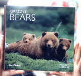 grizzly.JPG (39863 bytes)