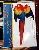 parrots1.JPG (32143 bytes)