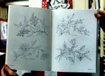 designs1.JPG (29726 bytes)