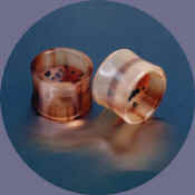 wb8181.JPG (18735 bytes)