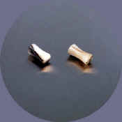 wb8197.JPG (12138 bytes)